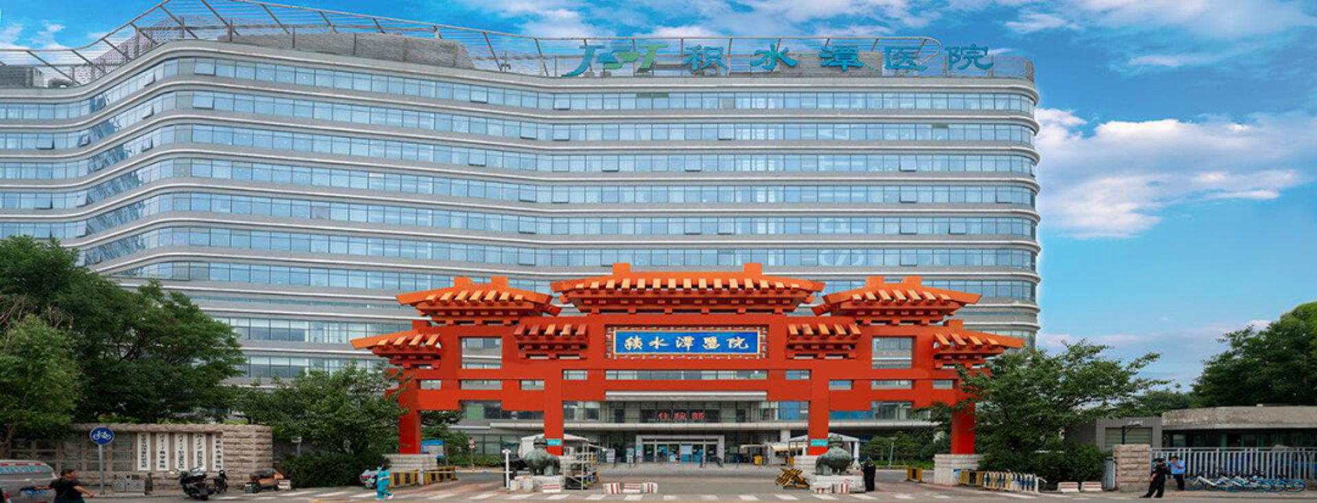 实战攻略:如何打造四川地区的优质网络技术公司